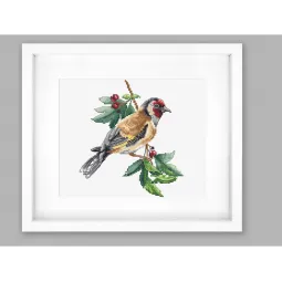 Goldfinch bird SB1197