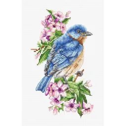 Oiseau bleu sur la branche SB1198