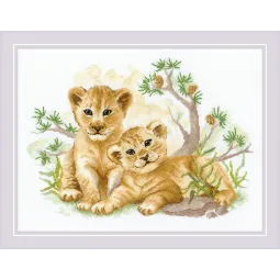 Siuvimo rinkinys 40x30 SR2046