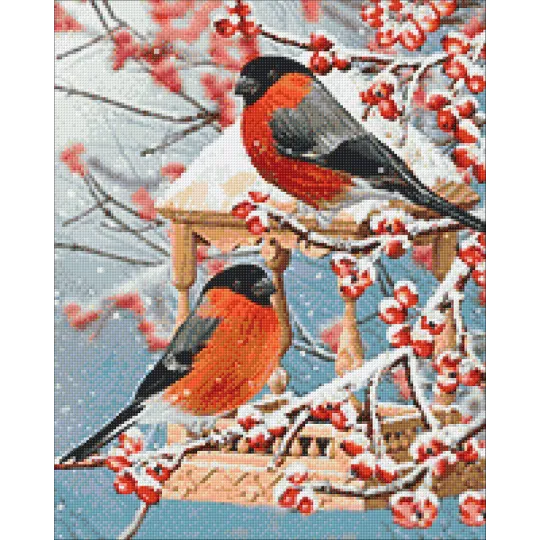 Two bullfinches 40*50 WD3043