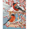 Two bullfinches 40*50 WD3043