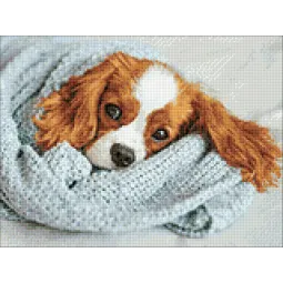 Schläfriger Freund 40*30 WD3053 (D)