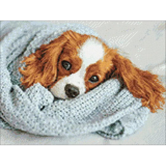 Sleepy friend 40*30 WD3053 (D)