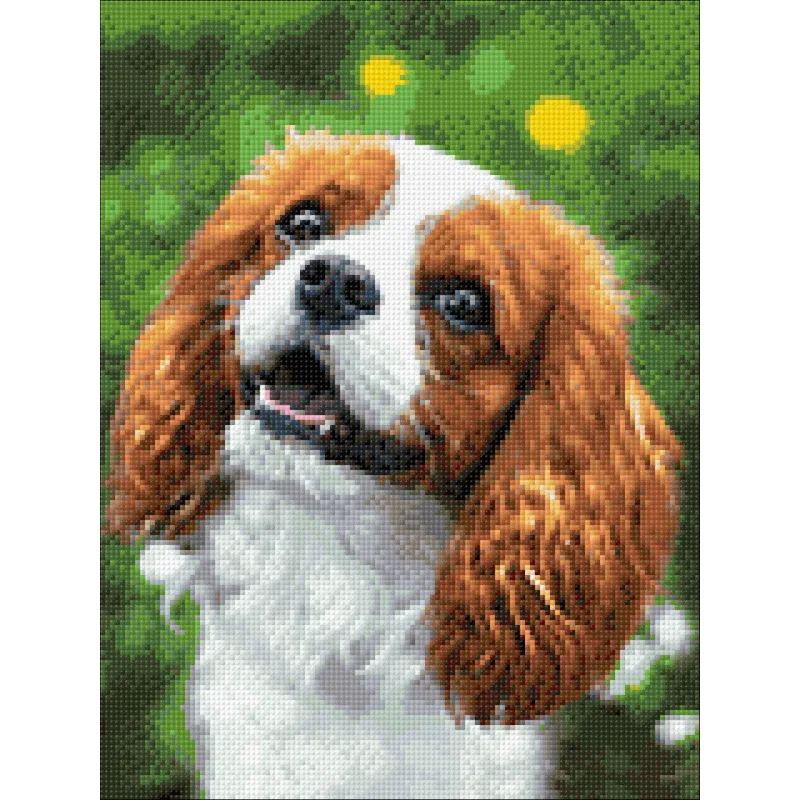 Lovely spaniel 30*40 WD3055