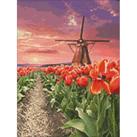 Windmill in tulips 30*40 WD3056