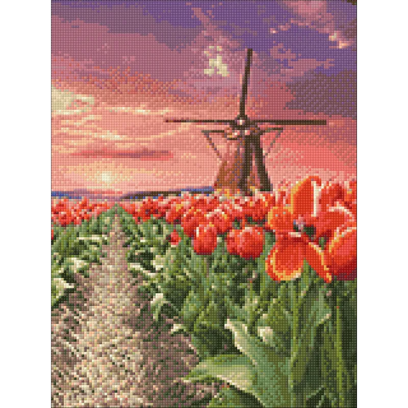 Windmill in tulips 30*40 WD3056