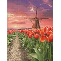 Windmill in tulips 30*40 WD3056