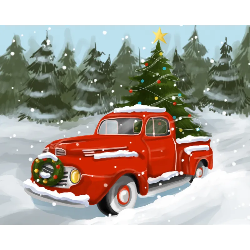 (D) Рождественский пикап 50*40 WD3064