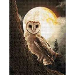 Hibou Mystérieux 30*40 WD3066