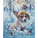 Chiot des neiges S1482