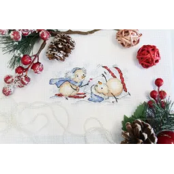 Зимние соревнования SM-679