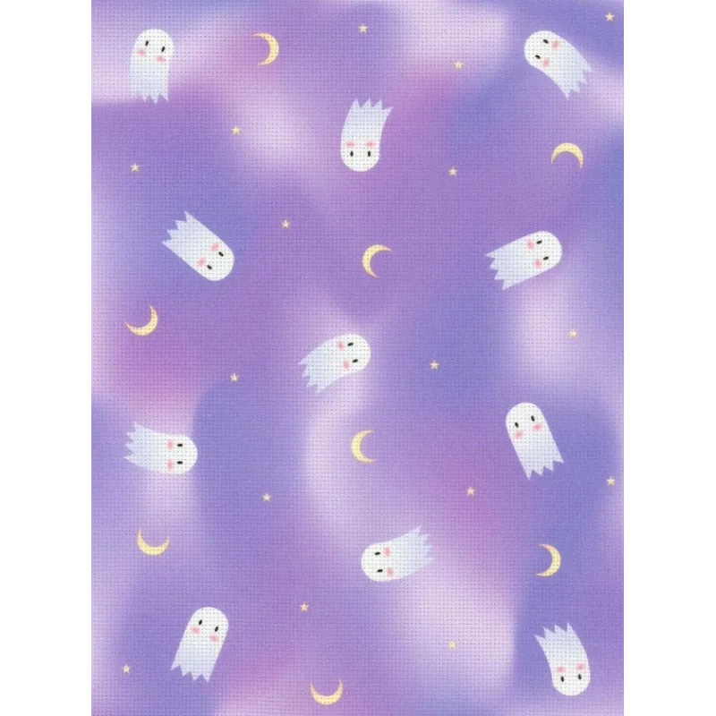 Toile de créateur Aida14 30*40 SKD14-194