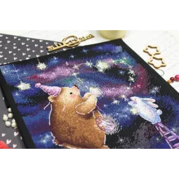 Decorate the sky SNV-765