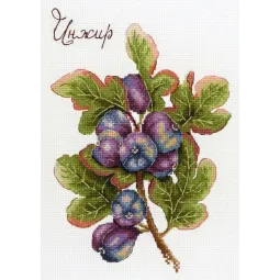 Cadeaux de la nature. Figues SNV-768