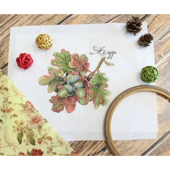 Natürliche Geschenke. Eichel SNV-769