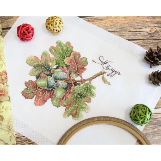 Natürliche Geschenke. Eichel SNV-769