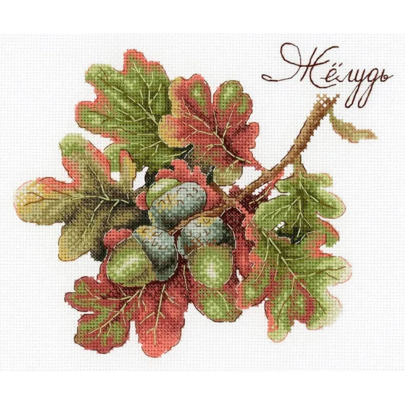 Дары природы. Желдь SNV-769