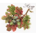Подарки природы. Дуб SNV-769