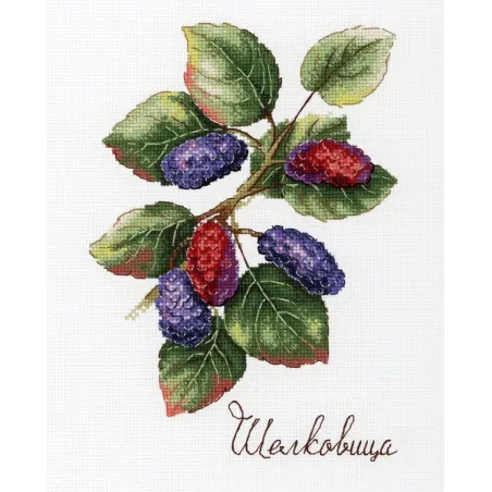 Geschenke der Natur. Mulberry SNV-770