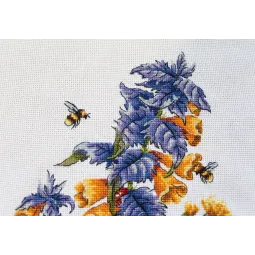 Melampyrum nemorosum SNV-778