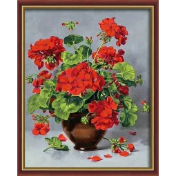 Raudona pelargonija 40 * 50 cm AM4098