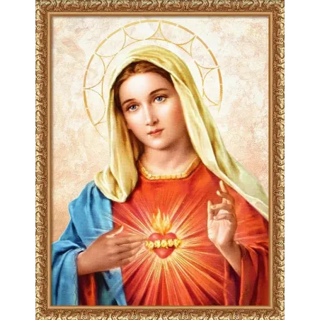 Vierge Marie 30*40 AM4115