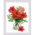 Amaryllis 30x40 SR2070