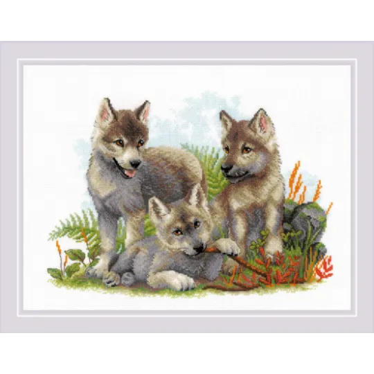 Sons of the Forest  40x30 SR2076