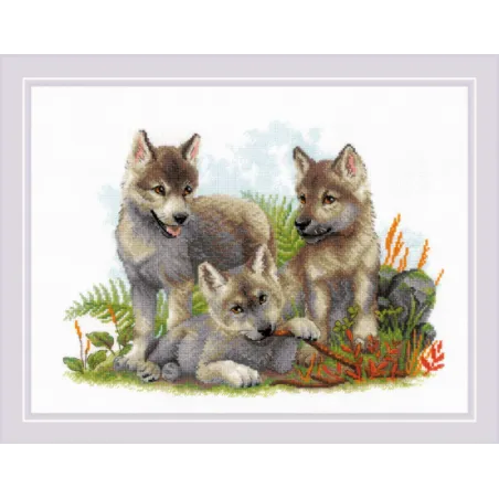 Sons of the Forest  40x30 SR2076