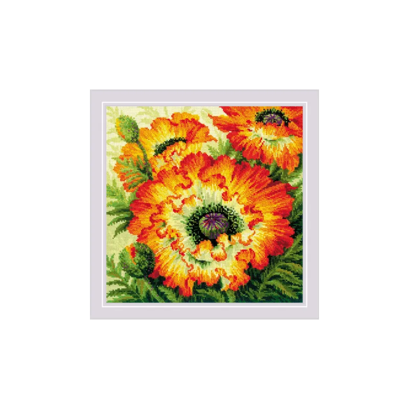 Feuer Mohnblumen 40x40 SR2080