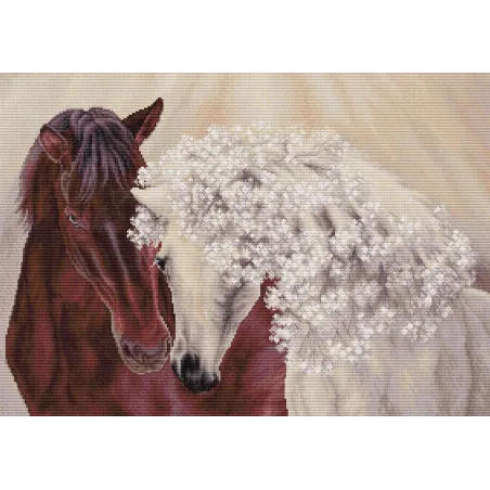 (D) The Perfect Couple 45x32cm SBU5010