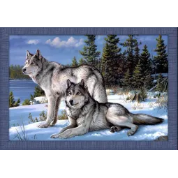 Kit de peinture diamant « Deux loups » 60*40 cm AM4016