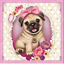 Diamond painting kit "Baby pug" 40*40 cm AM4038