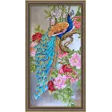 Diamond painting kit "Beautiful peacock" 30*60 cm AM4062