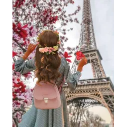 (Снято с производства) Алмазная мозаика на подрамнике "Весна в Париже" 40*50 см DP005