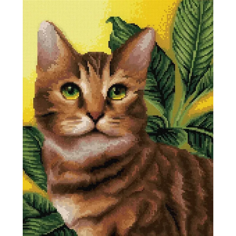 Deimantinis paveikslas su rėmeliu "Žaliaakis kačiukas" 40*50 cm DP022