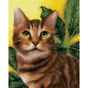 Deimantinis paveikslas su rėmeliu "Žaliaakis kačiukas" 40*50 cm DP022
