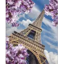 Deimantinė tapyba su rėmeliu "Eifelio bokštas" 40*50 cm DP044