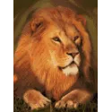 Deimantinė tapyba su rėmeliu "Didingas liūtas" 30*40 cm VA002