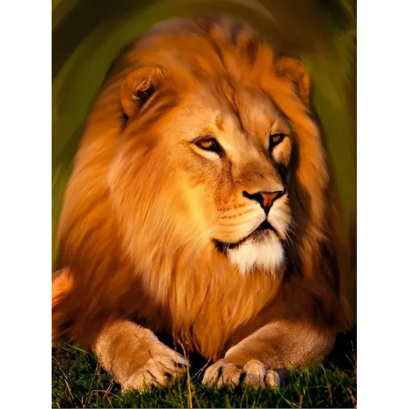 (Discontinued) Diamond painting with subframe "Majestic lion" 30*40 cm VA002