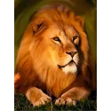 (Abandonné) peinture de diamant avec sous-châssis "Lion majestueux" 30 * 40 cm VA002