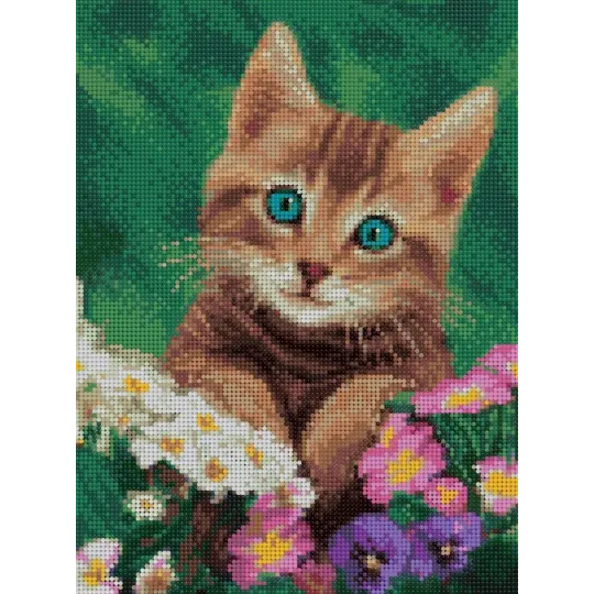 (Discontinued) Diamond painting with subframe "Lovely eyes" 30*40 cm VA023