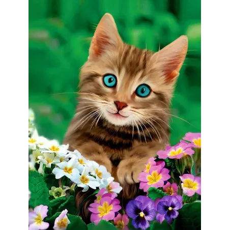 (Discontinued) Diamond painting with subframe "Lovely eyes" 30*40 cm VA023