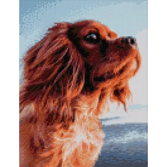 (Auslaufmodell) Diamond Painting mit Unterrahmen "Lieblicher Hund" 30*40 cm VA042