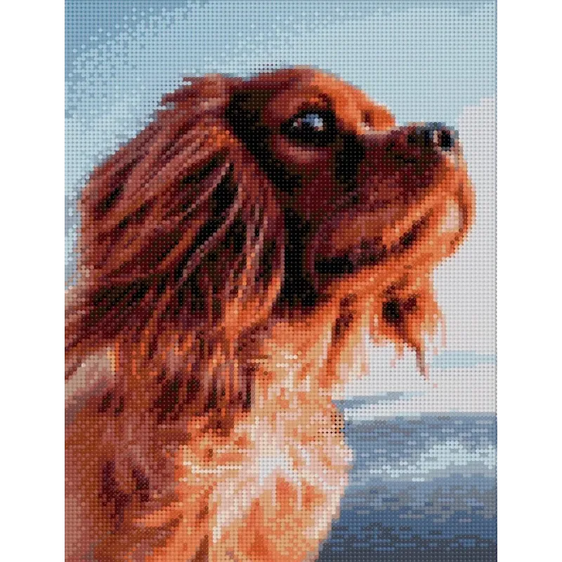 Deimantinė tapyba su rėmeliu "Lovely dog" 30*40 cm VA042