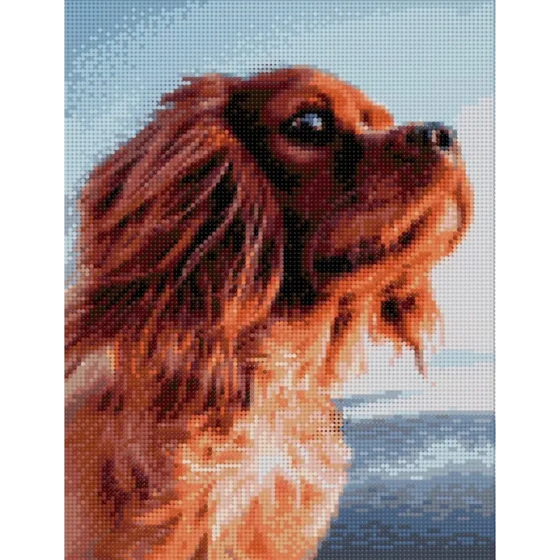 Diamantgemälde mit Hilfsrahmen „Lovely dog“ 30*40 cm VA042