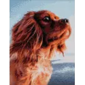 Deimantinė tapyba su rėmeliu "Lovely dog" 30*40 cm VA042
