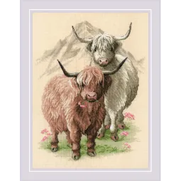 Copains des Highlands SR2090