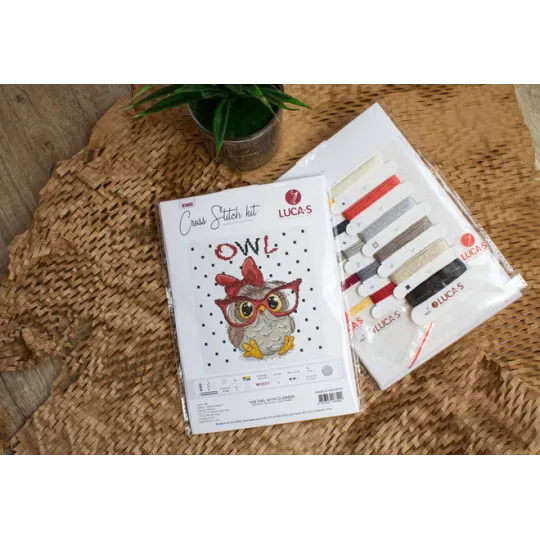 Kit de point de croix The Owl With Glasses SB1403