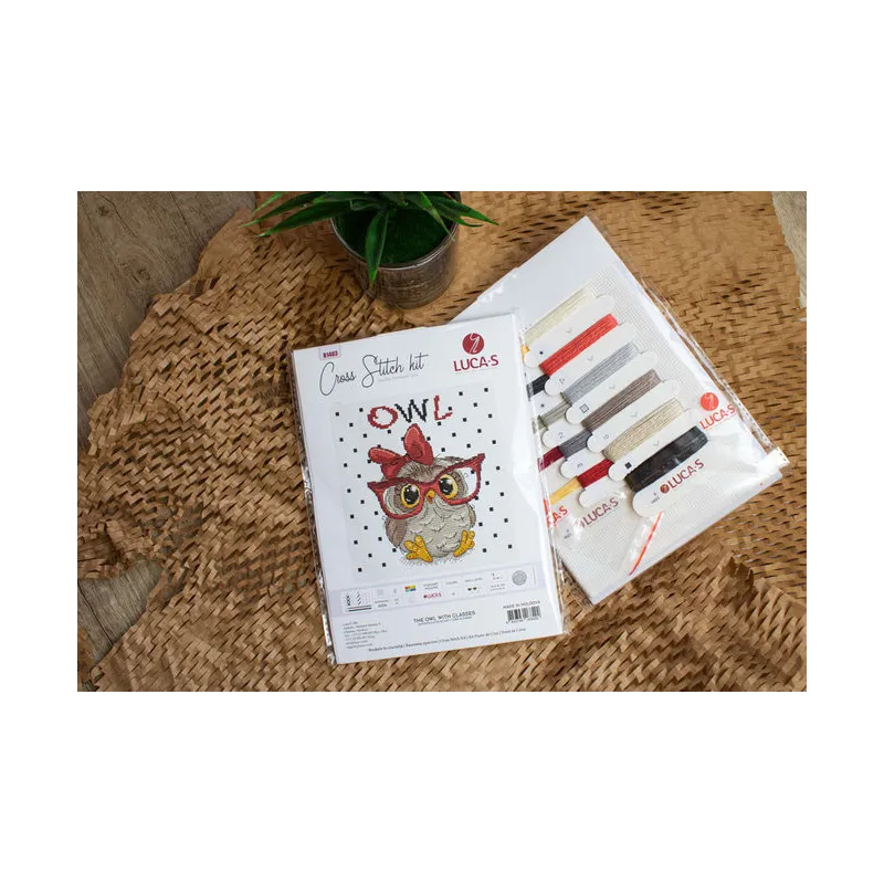Kit de point de croix The Owl With Glasses SB1403